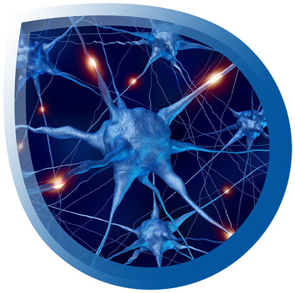 High fidelity illustration of brain cell connections