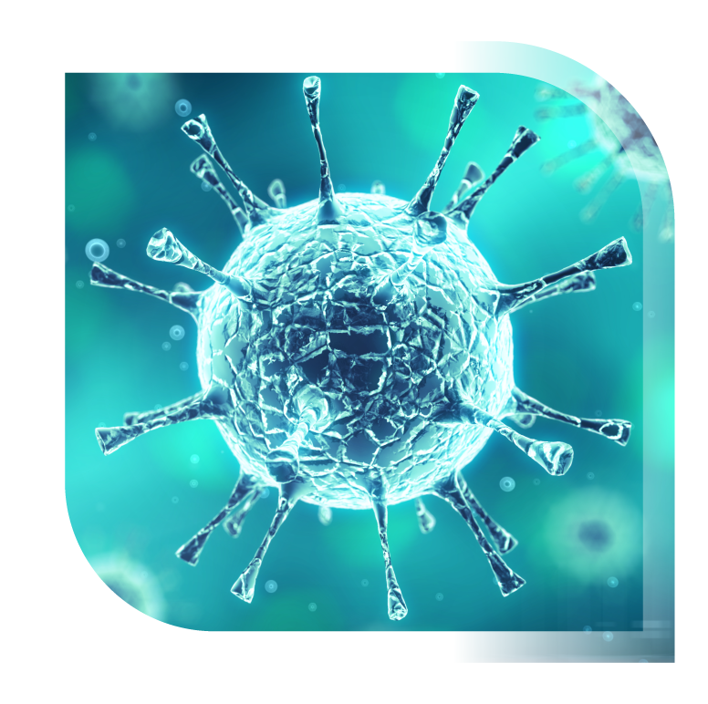 High fidelity illustration of virus cell